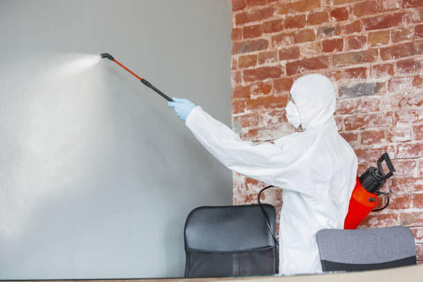 Best Mold Remediation for Healthcare Facilities  in Port Townsend, WA