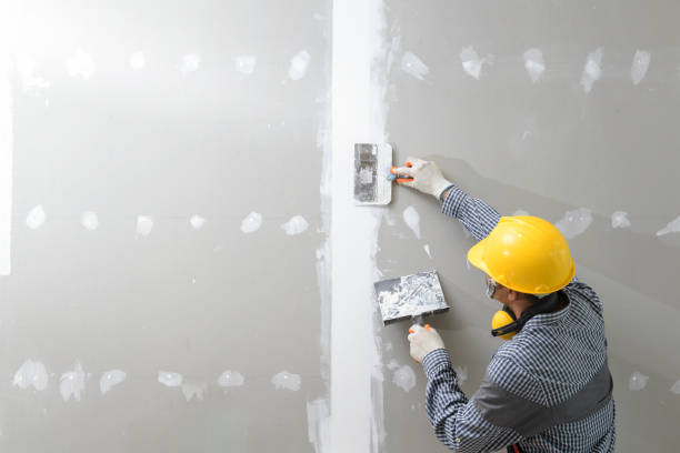 Best Basement Mold Removal  in Port Townsend, WA