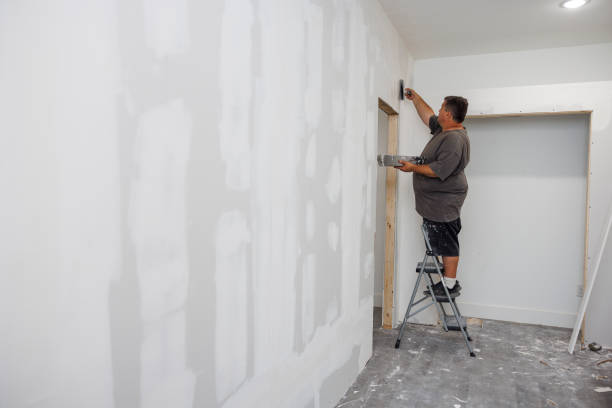 Best Mold Prevention Services  in Port Townsend, WA