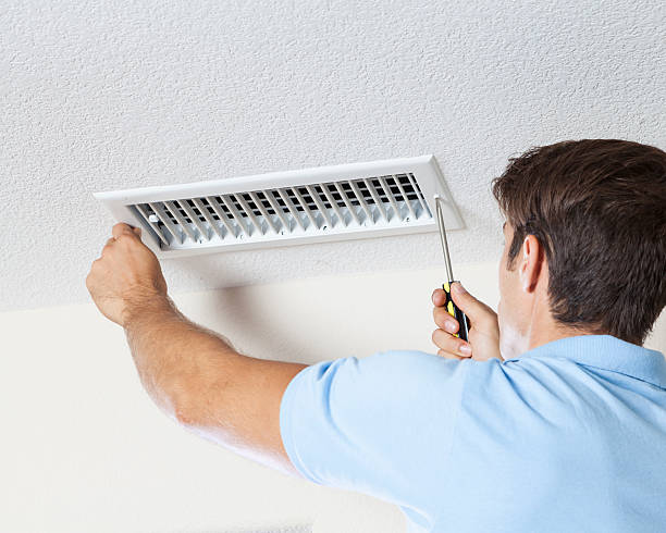 Best Commercial Mold Inspection  in Port Townsend, WA
