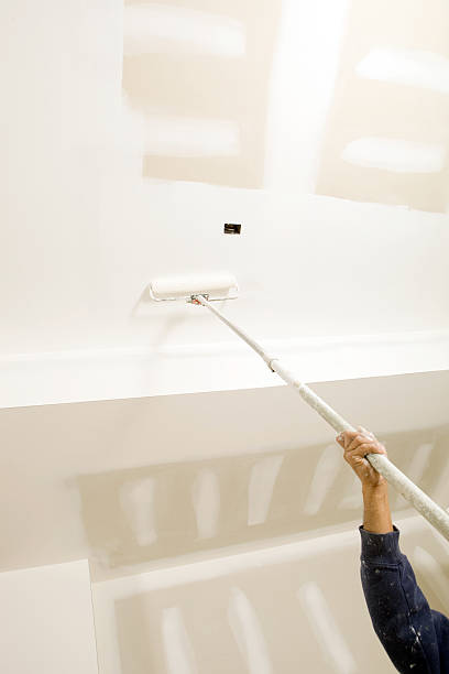Best Mold Damage Restoration  in Port Townsend, WA